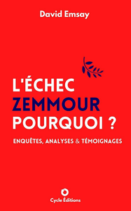 L'échec Zemmour : pourquoi ? - David Emsay
