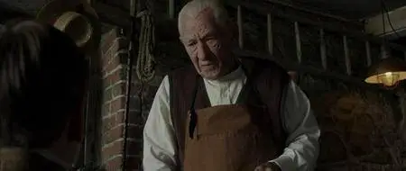 Mr. Holmes - Il Mistero Del Caso Irrisolto (2015)