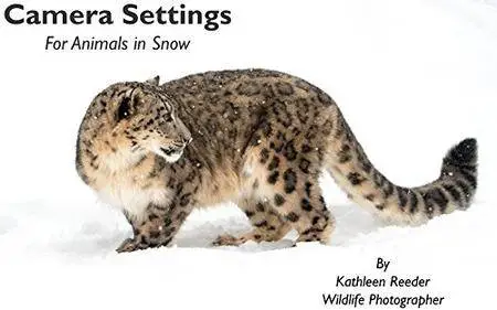 Camera Settings: For Animals in Snow