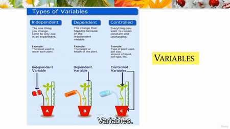 Introductory Biology: Complete course of Biology (08/2021)