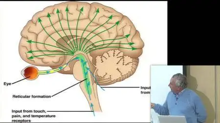 John Hagelin : Hacking Consciousness Cognition and the Brain