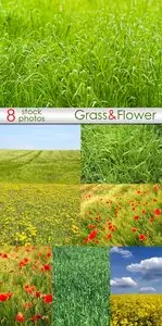 Grass & flower