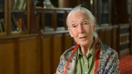 PBS - NATURE: Animal Reunions (2020)