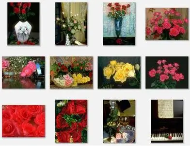 Roses Pictures