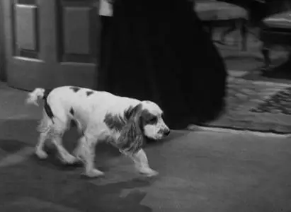 The Barretts of Wimpole Street (1934)