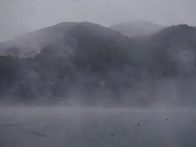 Ghost Strata (2019)
