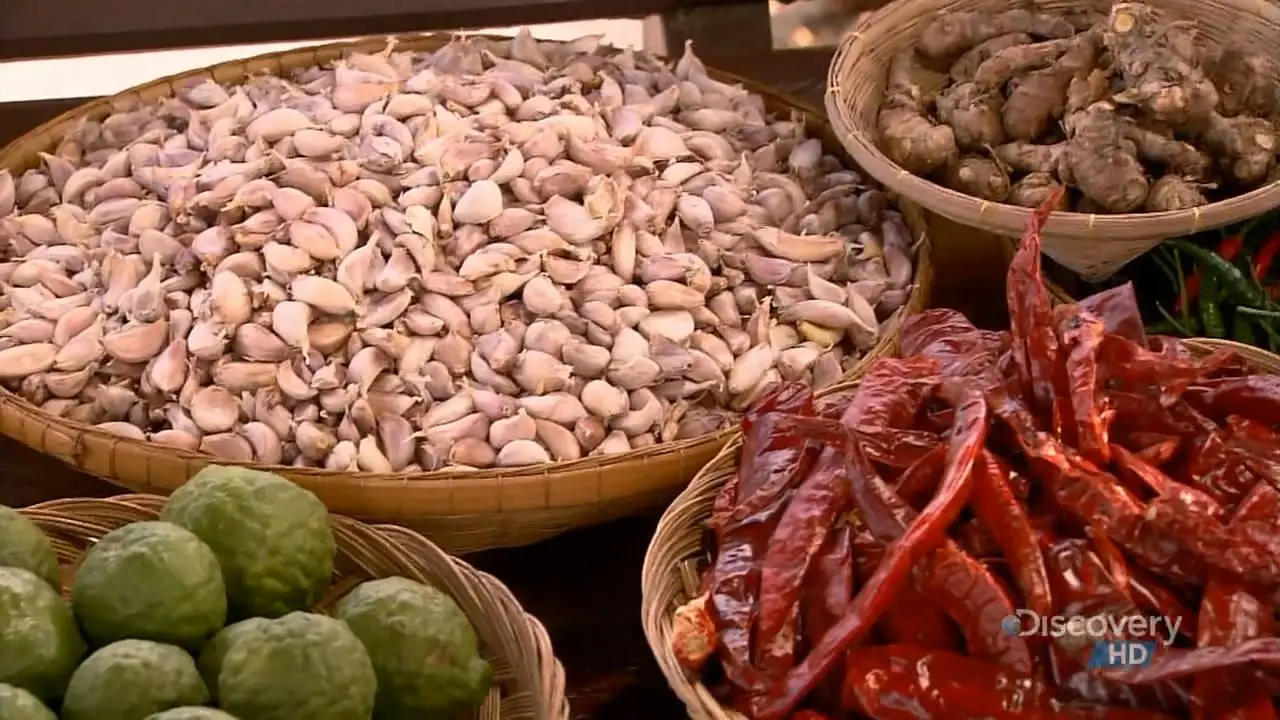 Discovery Channel - Thailand (2005)