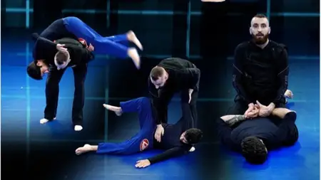 Self Defense/Law Enforcement Jiu-Jitsu