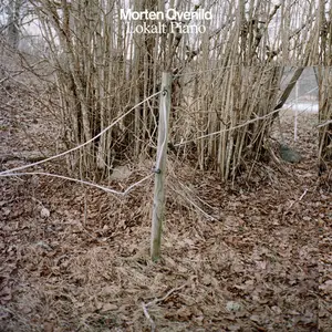 Morten Qvenild - Lokalt Piano (2026) [Official Digital Download 24/96]