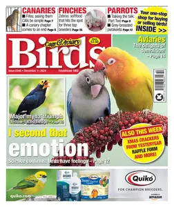 Cage & Aviary Birds - 11 December 2024