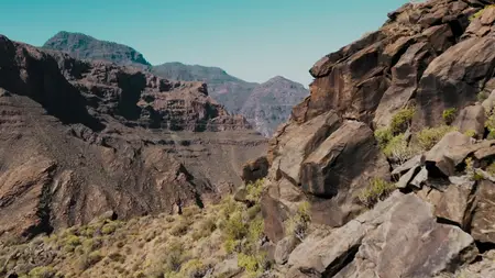 Wild Canary Islands (2021)