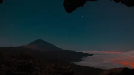 Wild Canary Islands (2021)