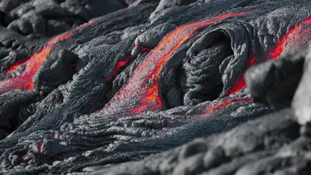 Wild Canary Islands (2021)