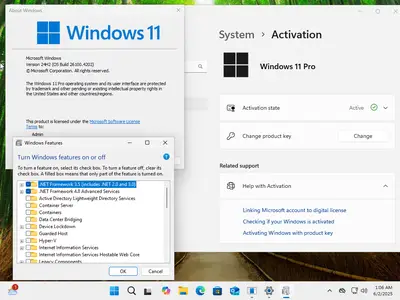 Windows 11 Pro 24H2 Build 26100.4202 (No TPM Required) Preactivated Multilingual