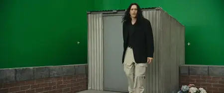 The Disaster Artist (2017)