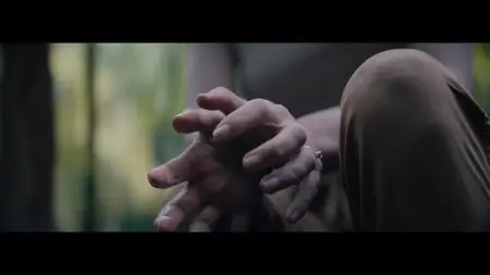 Consumed (2024)
