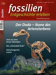 Fossilien - Januar 2025