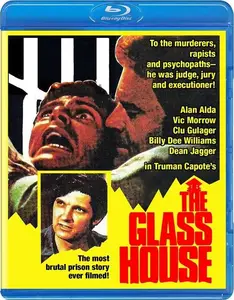 The Glass House (1972)