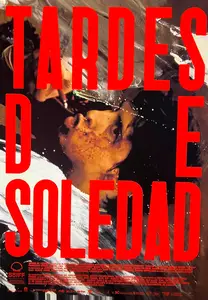 Afternoons of Solitude (2025) Tardes de soledad