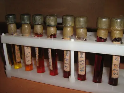 Surgical & Laboratory