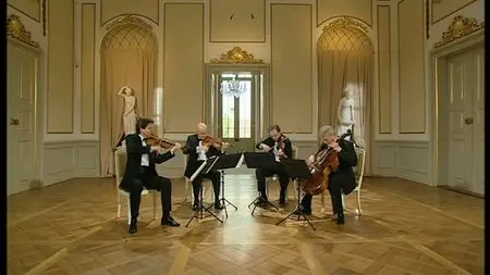 Mozart The Famous String Quartets - Gewandhaus-Quartett (2005) DVD9