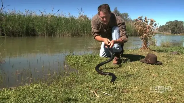 The Wildlife Man Featuring David Ireland Australian Safari (2015)