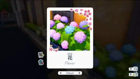 Shashingo Learn Japanese with Photography (2024)