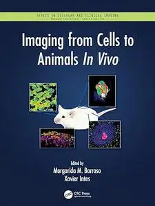 Imaging from Cells to Animals In Vivo (Repost)