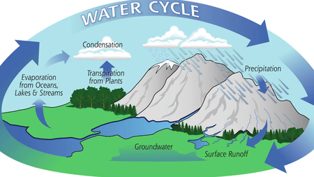 Coursera - Global Environmental Management (2016)