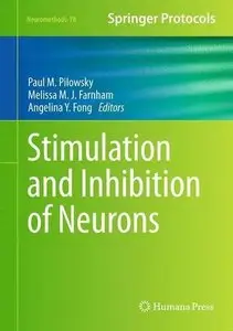 Stimulation and Inhibition of Neurons (Repost)
