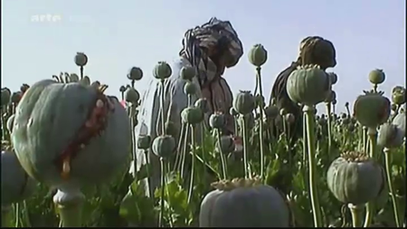 (Arte Thema) La route de l'opium + débat (2011)
