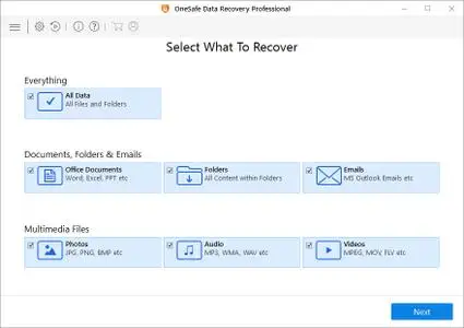 OneSafe Data Recovery Professional 8.0.0 Multilingual