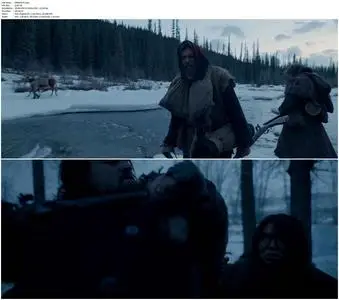 The Revenant (2015)