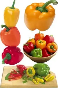 Pepper: a large collection of stock images