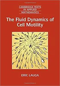 The Fluid Dynamics of Cell Motility