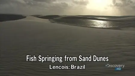 NHK Nature Wonder Land - Fish Springing from Sand Dunes (2008)