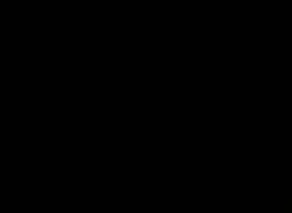 The Tantana (1991)