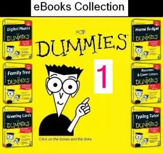 350 Dummies Ebooks collection