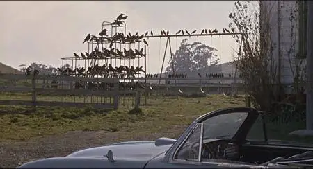 The Birds (1963)