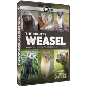 PBS - NATURE: The Mighty Weasel (2020)