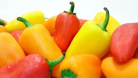 Your Metabolism - Gaining An Understanding Of The Basics