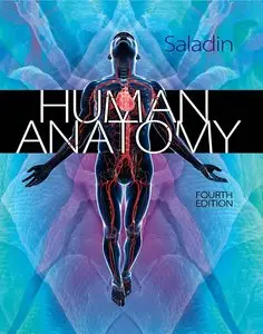 Human Anatomy, 4 edition (repost)