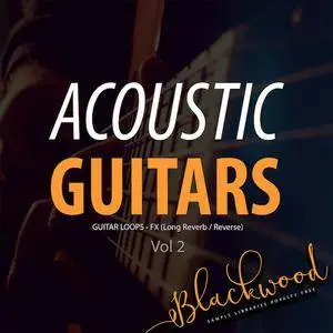 BLACKWOOD Samples Acoustic Guitars Vol 2 WAV