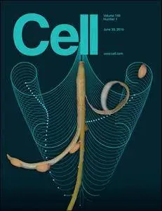 Cell - 30 June 2016