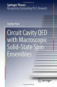 Circuit Cavity QED with Macroscopic Solid-State Spin Ensembles (Springer Theses)
