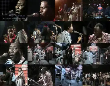 Muddy Waters - Messin With The Blues Live Montreux 1974