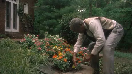 Driving Miss Daisy - 1989