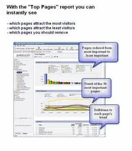 SurfStats Website Traffic Analyzer Pro v8.4.0.14 