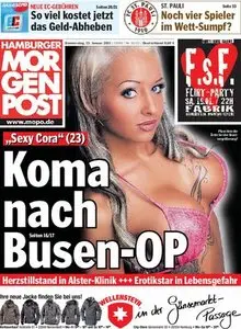 Hamburger Morgenpost 2011.01.13