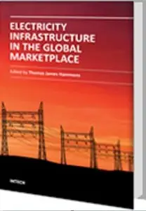 Electricity Infrastructures in the Global Marketplace
